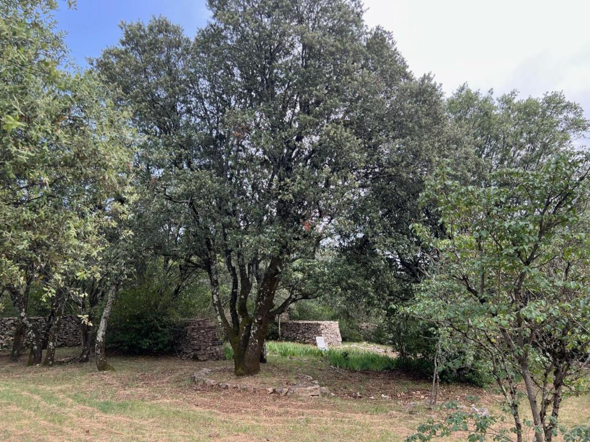 Вілла Luxurious Family House With Pool In Ardeche. Ле-Ван Екстер'єр фото